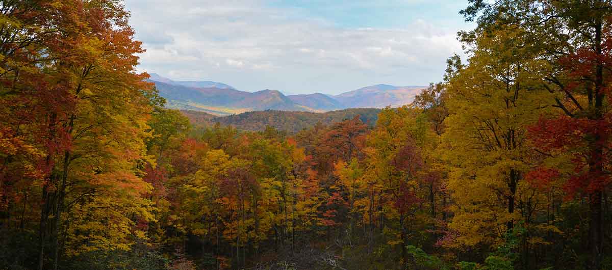 Soak Up Scenic Gatlinburg 